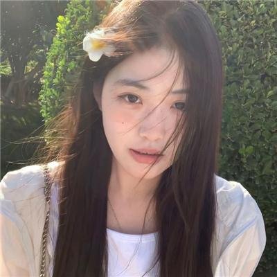 豹